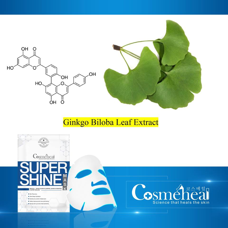 Gingko Biloba (Bạch quả) trong SuperShine Mask